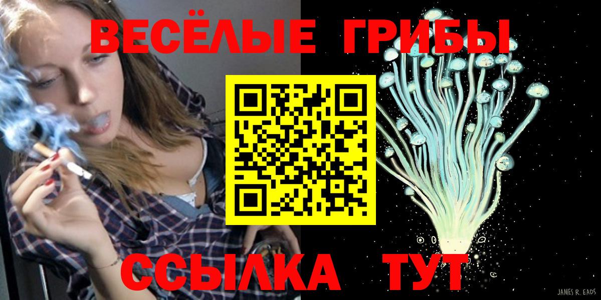 Кандалакша  Галлюциногенные грибы MAGIC MUSHROOMS  Вход с VPN  Псилоцибиновые грибы ЛСД 