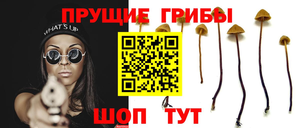 Галлюциногенные грибы мицелий Кандалакша
